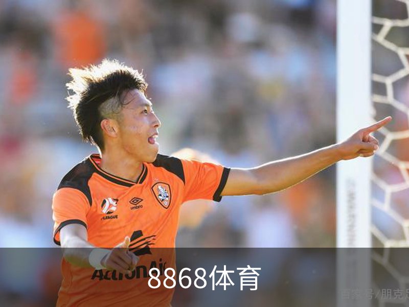 了解8868体育